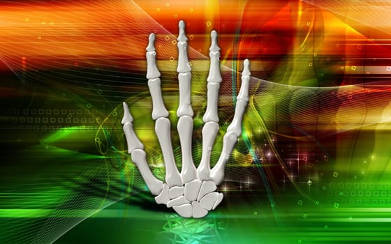 Hand bone
