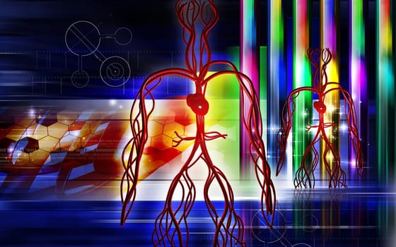 Vascular system