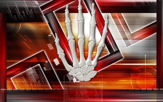 Hand bone
