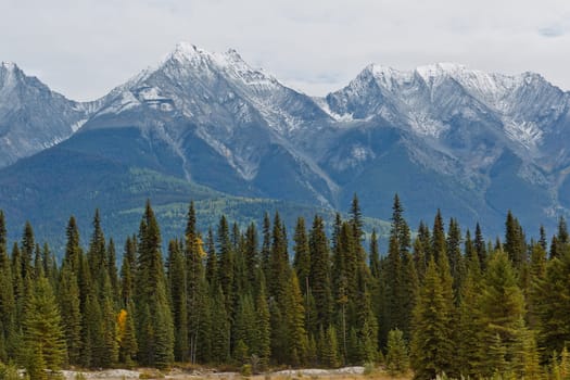 Snowcapped Canadian Rockies