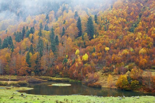 Mountain river in autumn