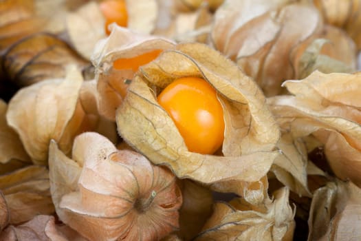 Close Up Physalis Fruit