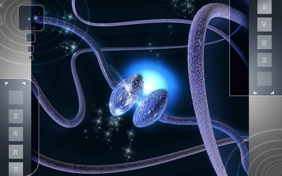 Synapse