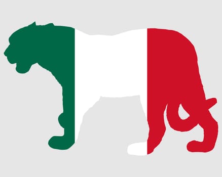 Jaguar Mexico