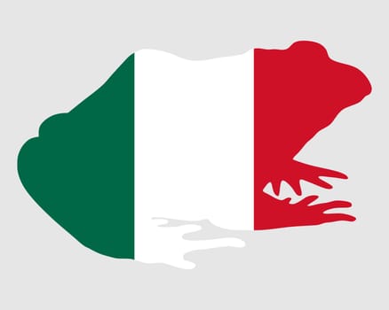 Bullfrog Mexico