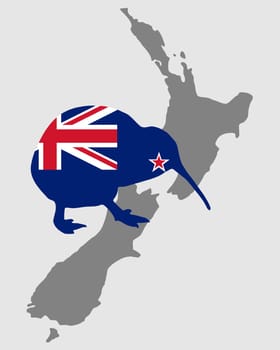 New Zealand's kiwifruit