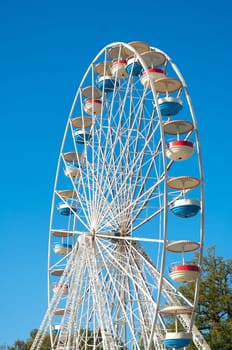 ferris wheel