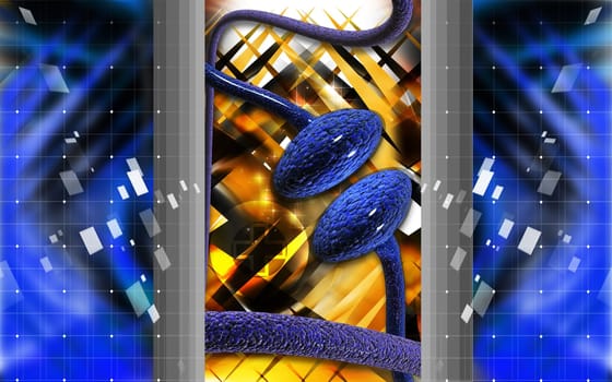 Synapse