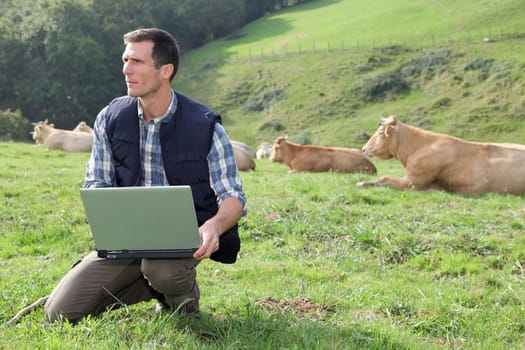 Breeder sitting in cattle field with laptop computer