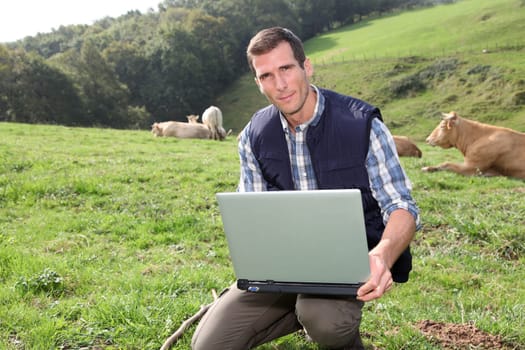Breeder sitting in cattle field with laptop computer