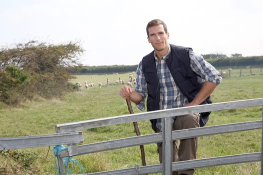 Shepherd standing in pasture land