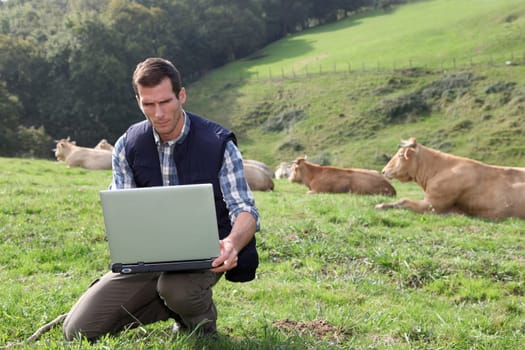 Breeder sitting in cattle field with laptop computer
