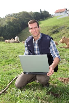 Breeder sitting in cattle field with laptop computer