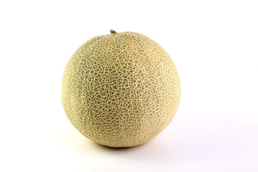 Reticulated melon