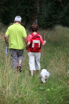 Senior couple rambling in country path with dog
