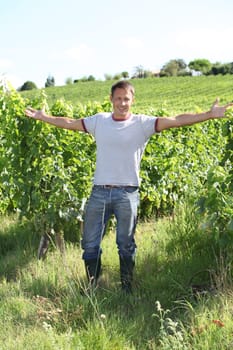 Winegrower standing in vineyard
