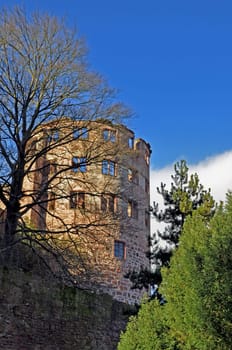 Tower