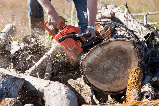 Man cutting wood with a chainsaw