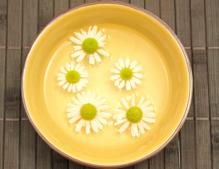 Chamomile flowers floating on the water in a ceramic bowl
