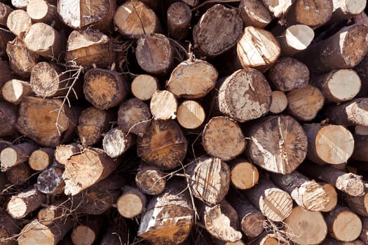 stack of logs