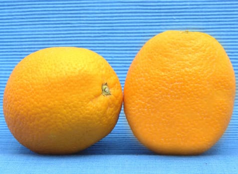 Two oranges against blue background