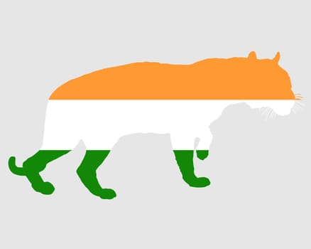 India Tiger