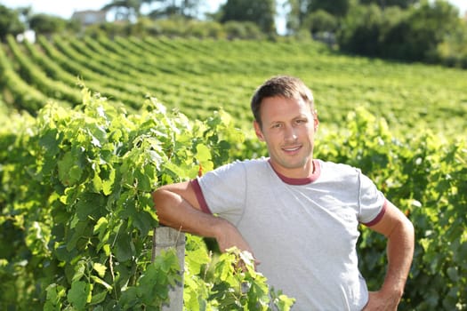 Winegrower standing in vineyard