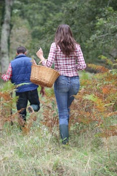 Couple in forest picking mushrooms in autumn