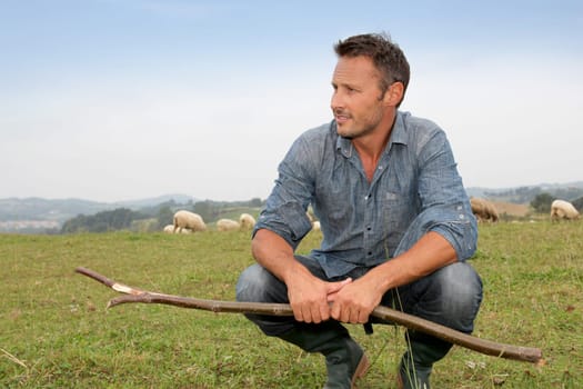 Shepherd standing in green field with sheeps