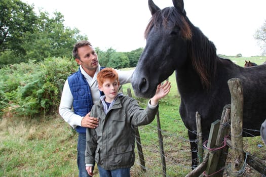 Parents and children petting horses in countryside