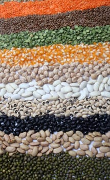 Various beans and grains close up