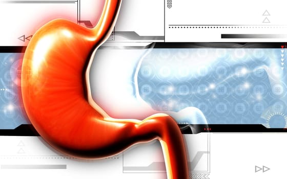 Stomach