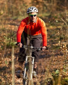 Mountain bikers in the forest