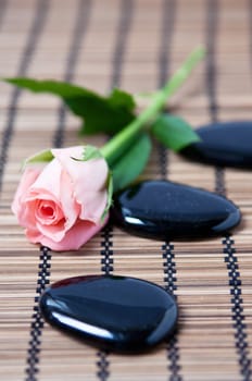 Hot Stone