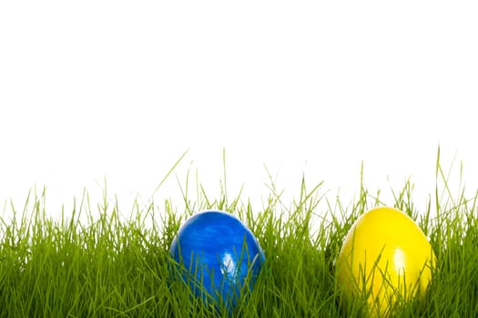 Yellow and Blue Easter Egg in Grass