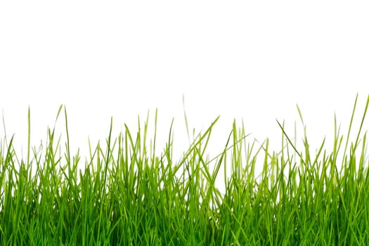 Grass before white