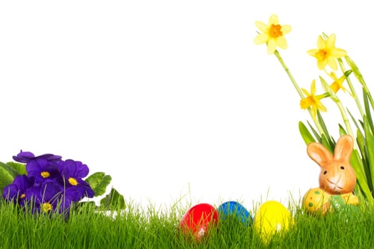Little Easter Bunny with Daffodils Prime