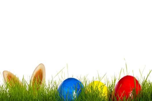 Easter eggs in grass with ears of an Osterh