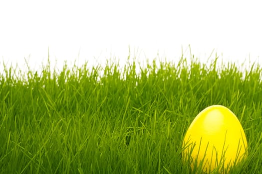 Yellow Easter Egg in Grass