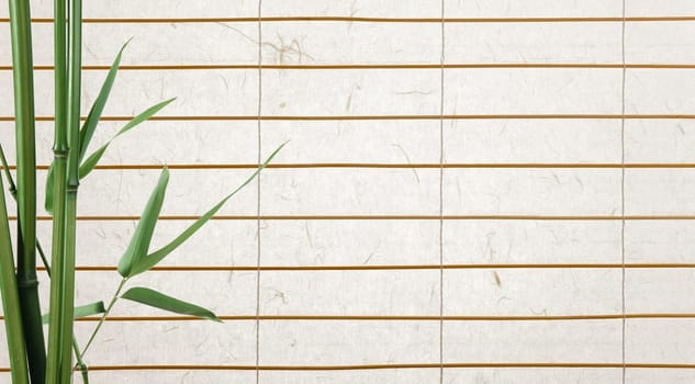 rice paper background
