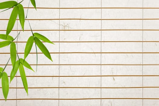 rice paper background
