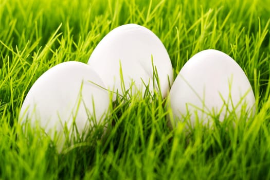 Three white Easter eggs in grass
