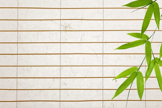 rice paper background