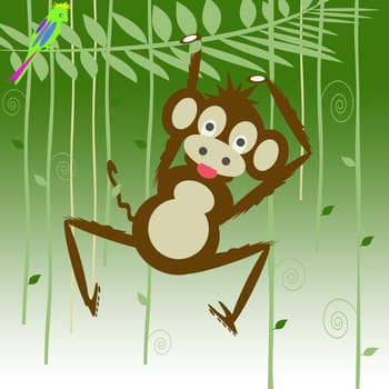monkey in the forest