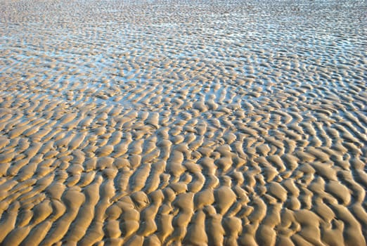 Beach with tide out