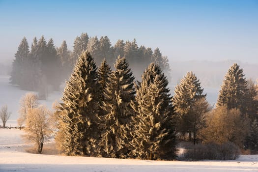 Winter atmosphere from the Franches-Montagnes