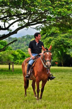 Horseman
