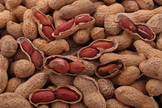 Peanut or groundnut in shells