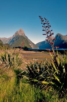Milford Sound II