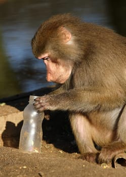 Bottle empty